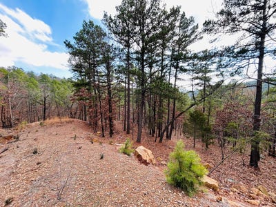 /international/us/2-sardis-view-drive-tuskahoma-ok-110105837785/