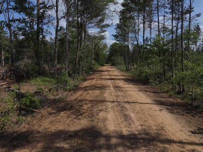 /international/us/county-road-308-hamburg-ar-110107537922/