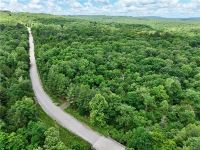 /international/us/antioch-road-canehill-ar-110108442255/
