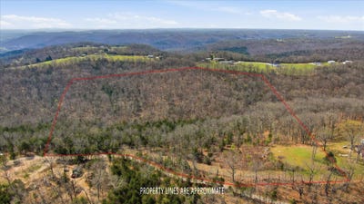 /international/us/bray-mines-road-oldfield-mo-110106960152/