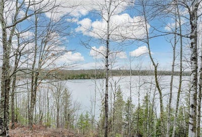 /international/us/37873-n-star-lake-lane-marcell-mn-110107519721/