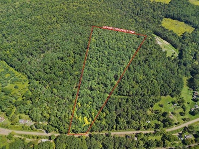 /international/us/river-rd-lindley-ny-110110267853/