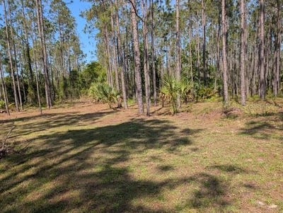 /international/us/540-sw-326th-avenue-steinhatchee-fl-110100418298/