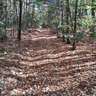 /international/us/spruce-lane-lot-15-eden-vt-110108890324/
