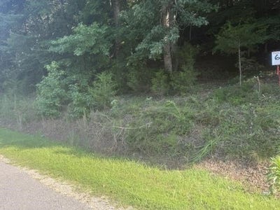/international/us/tracts-5-6-carroll-hollow-rd-lot-5-6-waynesboro-mo-110120510737/