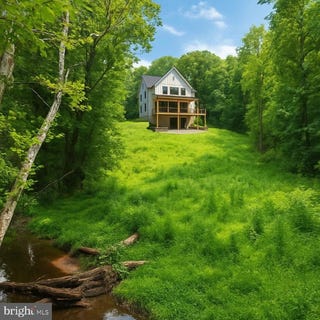 /international/us/guinea-bridge-purcellville-va-110100119386/