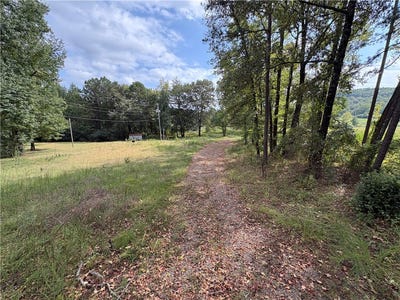 /international/us/131-booger-hollow-road-dover-ar-110120423512/