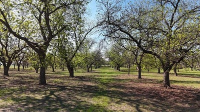 /international/us/000-pecan-lane-newcastle-tx-110106007772/