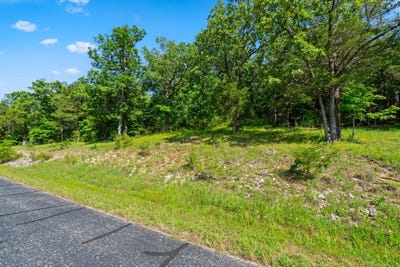 /international/us/cedar-bluff-lot-91a-saddlebrooke-mo-110108574891/