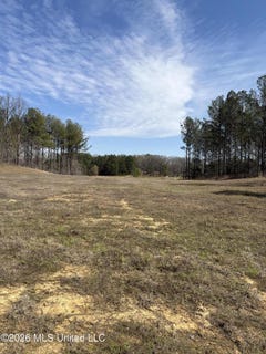 /international/us/35-deerwood-drive-lot-35-lake-cormorant-ms-110106539092/