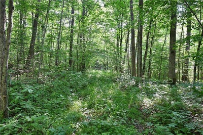 /international/us/80-acres-240th-street-cornell-wi-110100923817/?lang=zh-cn
