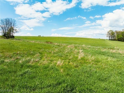 /international/us/1183-waynesburg-road-nw-carrollton-oh-110100799659/