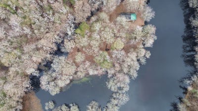 /international/us/0-cox-s-lake-ct-mullins-sc-110105795023/