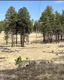 /international/us/lot-e-forest-road-26-alpine-az-110101063497/