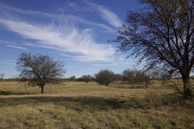 /international/us/6172-fm-1769-graham-tx-110103978605/