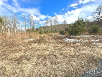 /international/us/547-glenford-wittenberg-road-bearsville-ny-110090185101/?lang=zh-tw