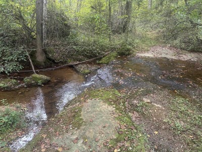 /international/us/290-burnetts-road-chesnee-sc-110110318812/