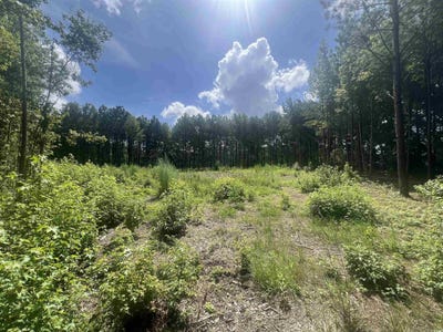 /international/us/tbd-lot-6b-red-bluff-rd-loris-sc-110101031524/?lang=zh-tw