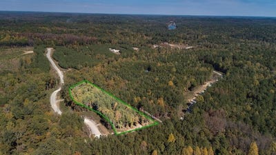 /international/us/100-shoreside-drive-double-springs-al-110095419962/