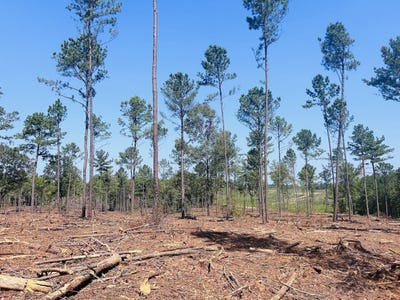 /international/us/0-suggs-mill-pond-road-lot-7-reynolds-ga-110094140503/?lang=zh-tw