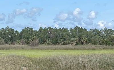 /international/us/tbd-yates-creek-road-perry-fl-110100882949/?lang=zh-tw