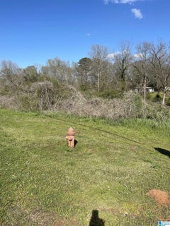 /international/us/franklin-road-lot-1-roanoke-al-110108573473/