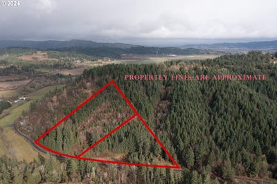 /international/us/nw-williams-canyon-rd-gaston-or-110095910229/