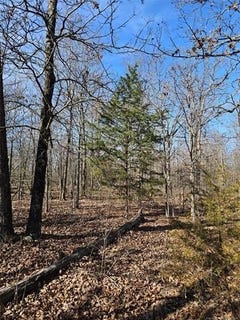 /international/us/54601-e-233-road-afton-ok-110104778770/