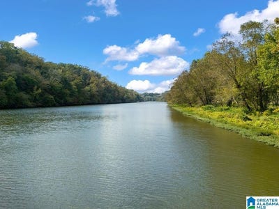 /international/us/205-mulberry-avenue-lot-20-cordova-al-110120499186/