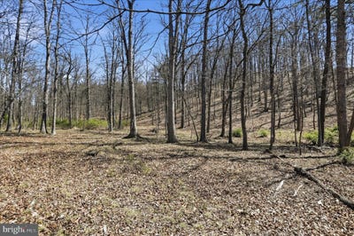 /international/us/20-32-ac-trough-road-moorefield-wv-110107308965/