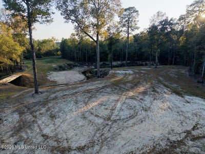 /international/us/mississippi-33-gloster-ms-110120922987/