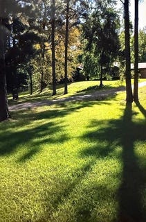 /international/us/217-southlake-rd-saratoga-ar-110103187261/