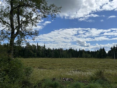 /international/us/1406-gray-wilmurt-road-cold-brook-ny-110101979165/