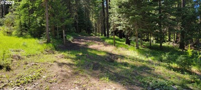 /international/us/chief-joseph-loop-rd-joseph-or-110102920834/