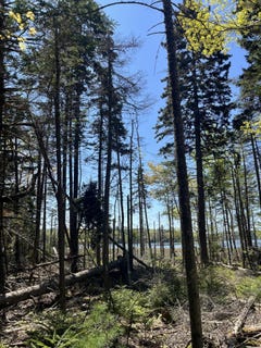 /international/us/1572-state-highway-102-bar-harbor-me-110099096851/