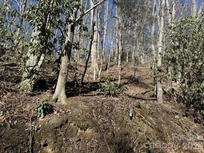 /international/us/1237-hickory-acres-road-hendersonville-nc-110106305113/
