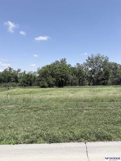 /international/us/1019-brickyard-drive-hooper-ne-110108687268/