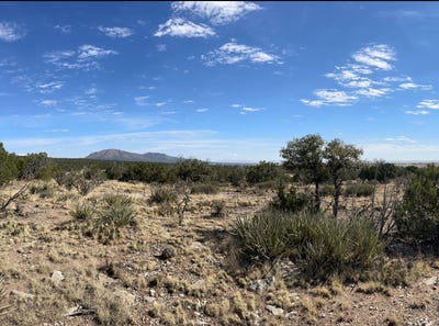 /international/us/71-sunset-boulevard-edgewood-nm-110106091410/