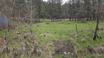 /international/us/tbd-pine-st-blk-56-lot-5-peck-id-110091696329/?lang=zh-tw