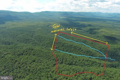 /international/us/120-acres-on-george-washington-national-forest-yellow-spring-wv-110100755377/?lang=zh-tw