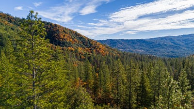 /international/us/tbd-forest-road-fs-2n07-cottonwood-road-twain-harte-ca-110096282065/