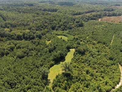 /international/us/1600-deer-run-rd-dixons-mills-al-110119753937/