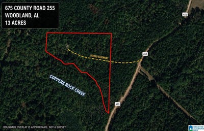 /international/us/675-county-road-455-lot-675-woodland-al-110109756782/