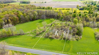 /international/us/v-l-parcel-a-18th-street-dorr-mi-110107626820/