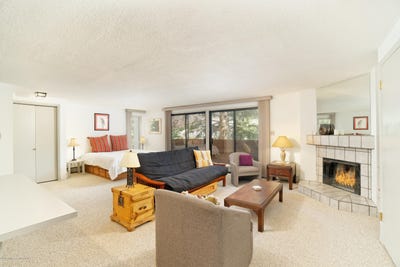 /international/us/935-e-hopkins-avenue-aspen-co-110098015590/