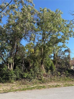 /international/us/11230-montcalm-road-spring-hill-fl-110106583195/
