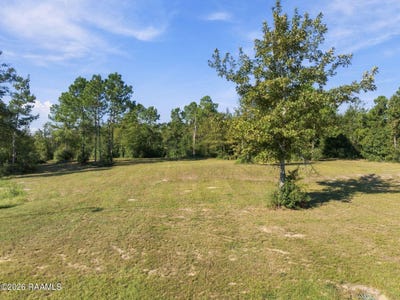 /international/us/coffey-farms-lot-134-lake-charles-la-110120425062/