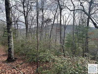 /international/us/jeb-stuart-hwy-stuart-va-110100325841/