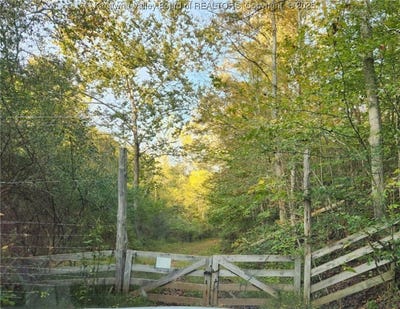 /international/us/wallace-road-fraziers-bottom-wv-110103107778/