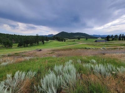 /international/us/tbd-old-hill-city-road-hill-city-sd-110106623845/
